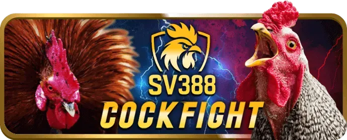 Các trò chơi nổ hũ và bắn cá Combet 2026 với jackpot lớn và đồ họa đẹp mắt